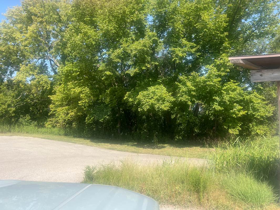 walking near me in Eudora Boat Ramp in autumn