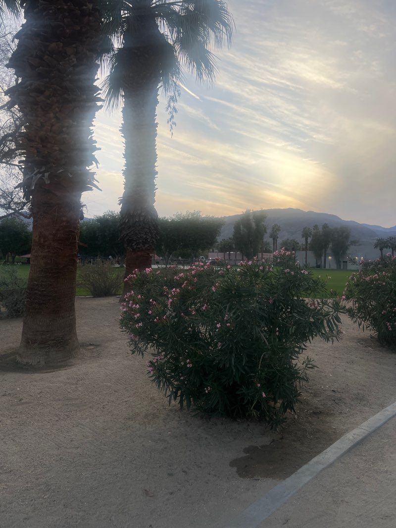 walking near me in Civic Center Park in winter