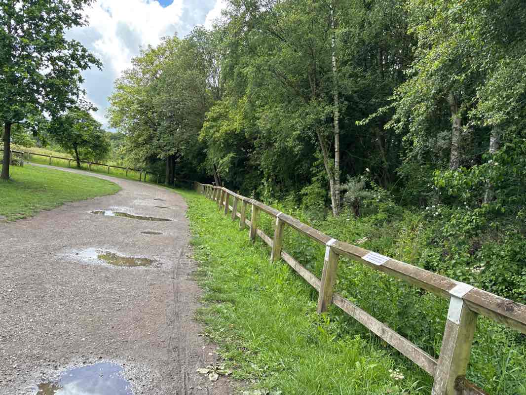 walking near me in Shipley Country Park in summer