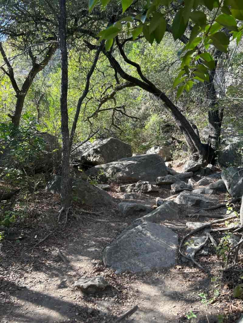 walking near me in Barton Creek Greenbelt in autumn