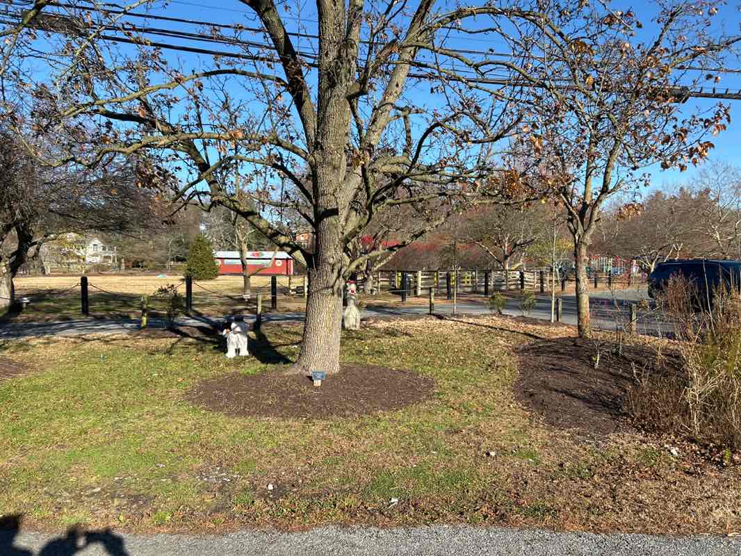 walking near me in Milton Memorial Park in autumn