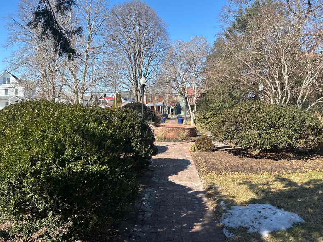 walking near me in Zwaanendael Park in winter