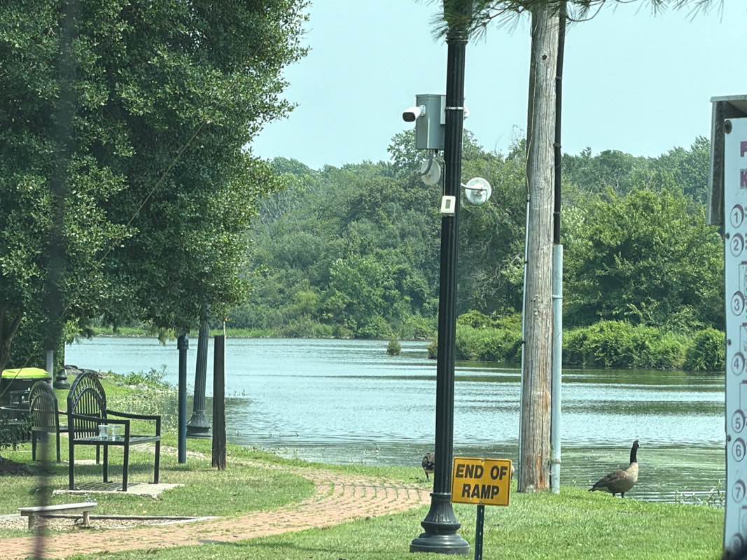 walking near me in Milton Memorial Park in summer