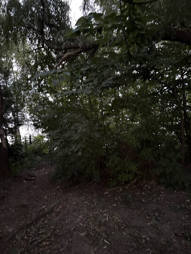 walking near me in Parc de West Vancouver in autumn