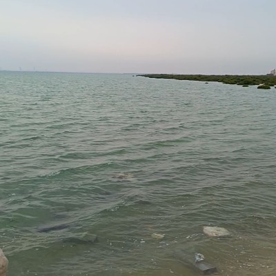 January Distance Challenge خديجة يعقوب العبيدي post image