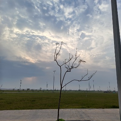 May Distance Challenge خديجة يعقوب العبيدي post image