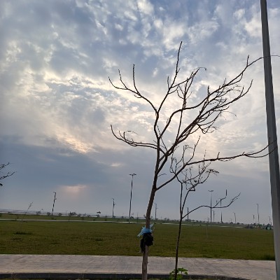 May Distance Challenge خديجة يعقوب العبيدي post image