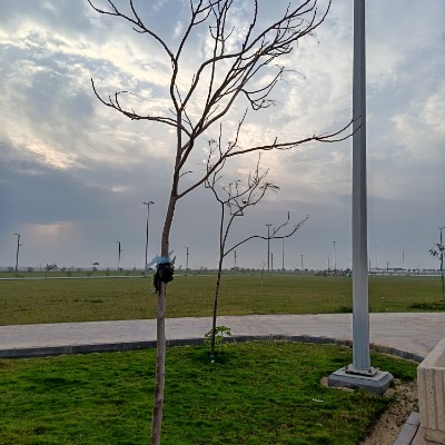 May Distance Challenge خديجة يعقوب العبيدي post image