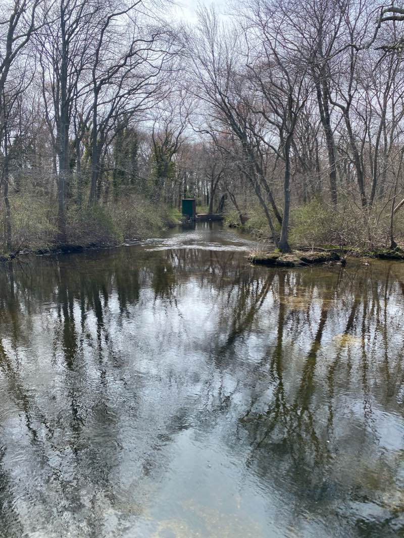 walking near me in Brady Park in winter