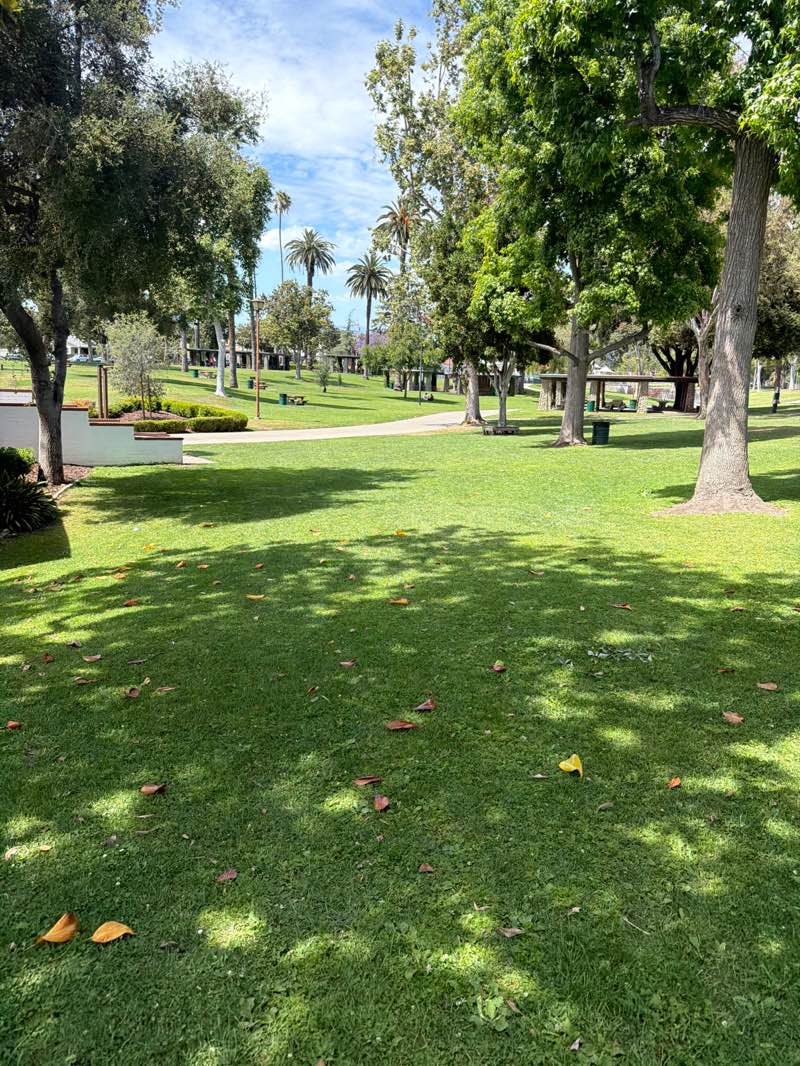 walking near me in Alhambra Park in spring