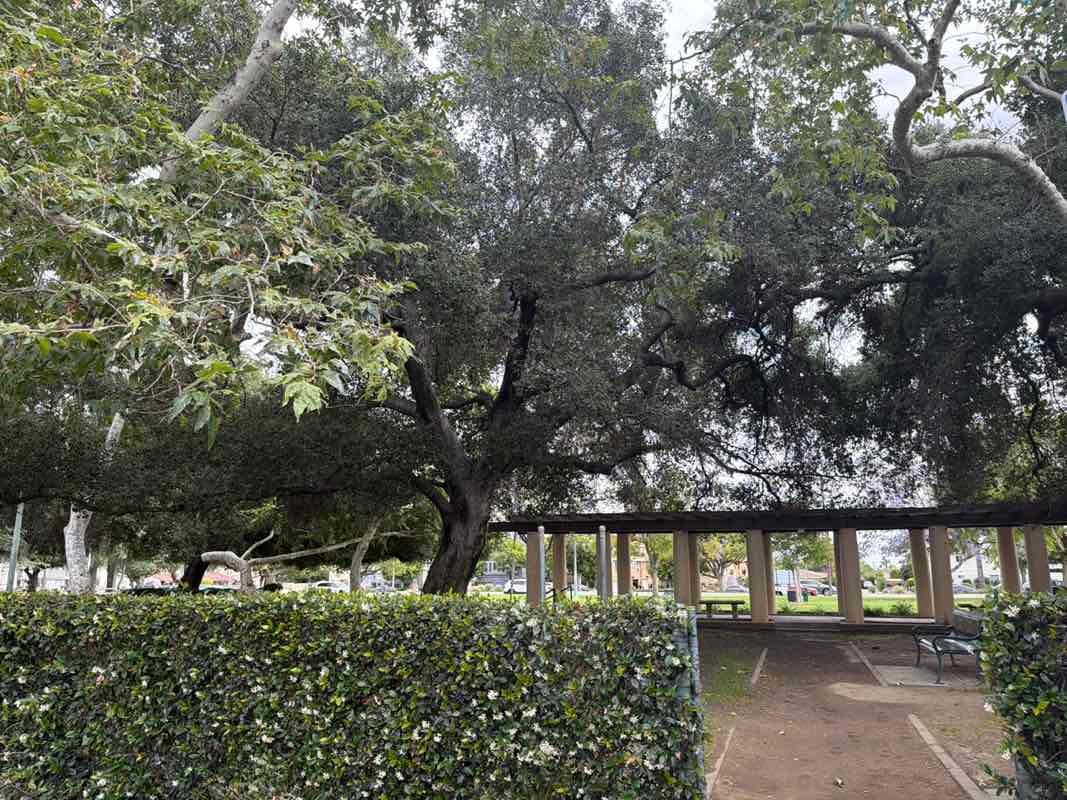 walking near me in Michillinda Park in spring