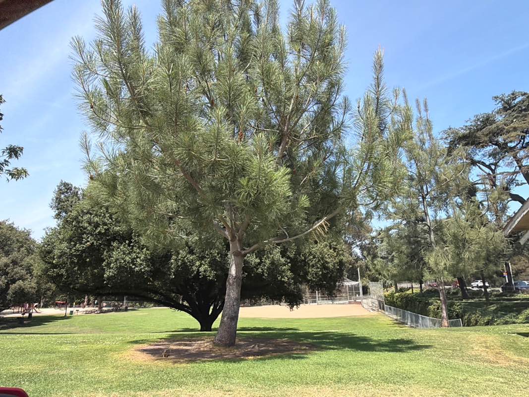 walking near me in Story Park in summer