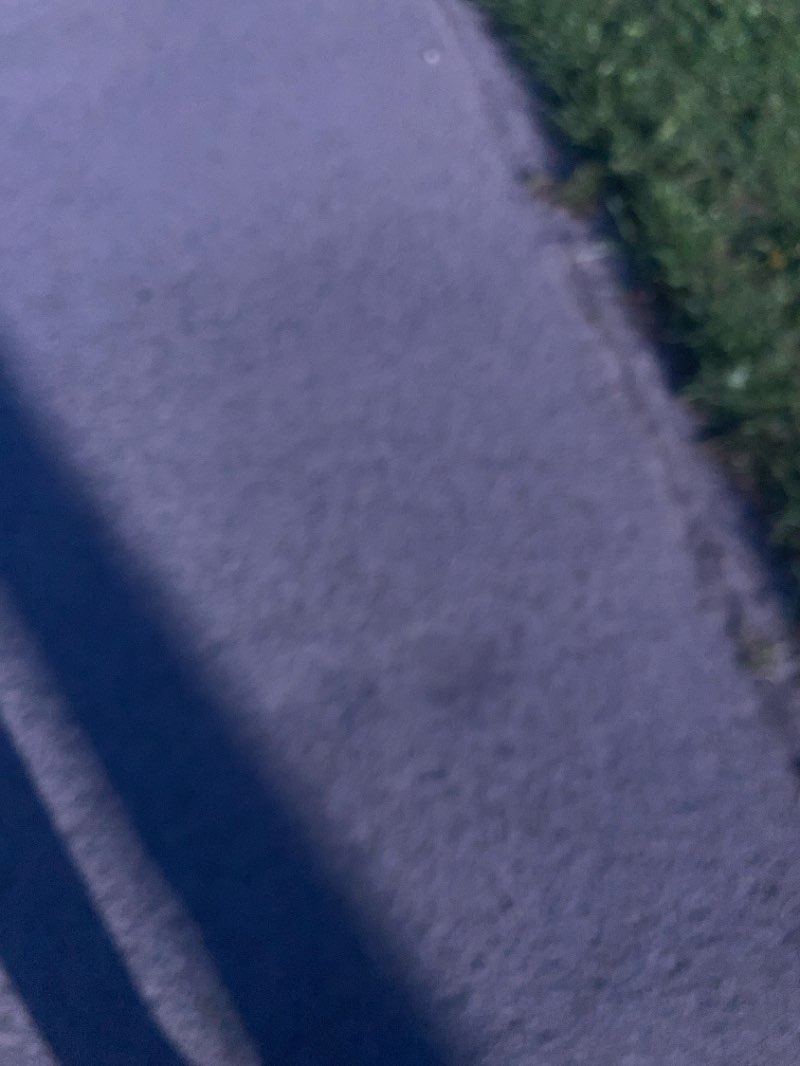 walking near me in The Green in spring