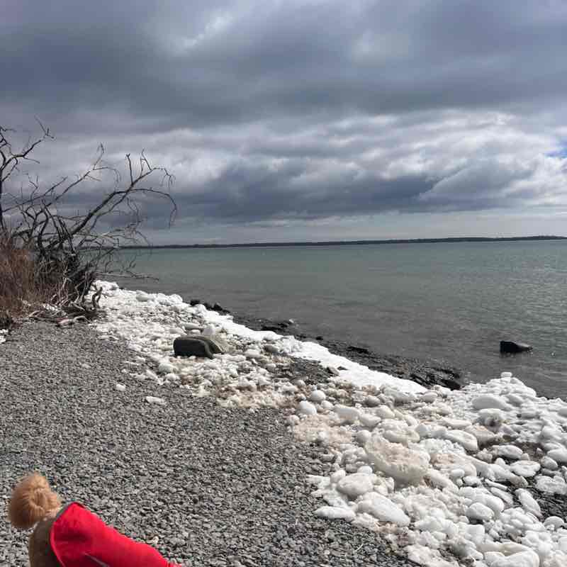 🇨🇦Rickwood post 1