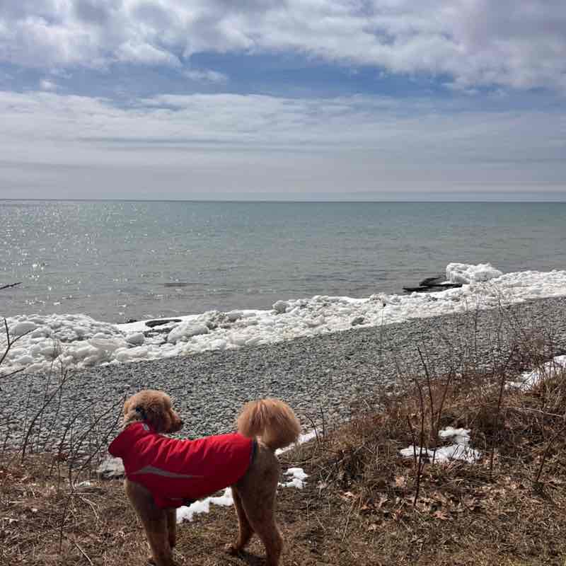 🇨🇦Rickwood post 2