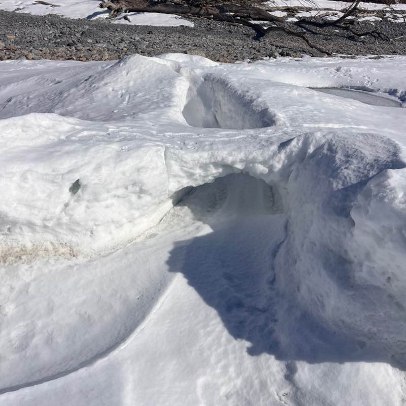 🇨🇦Rickwood post 2