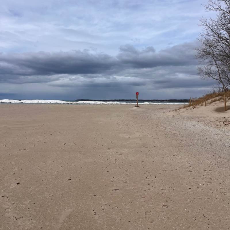 🇨🇦Rickwood post 1