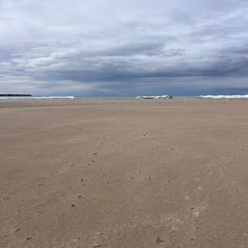 🇨🇦Rickwood post 2