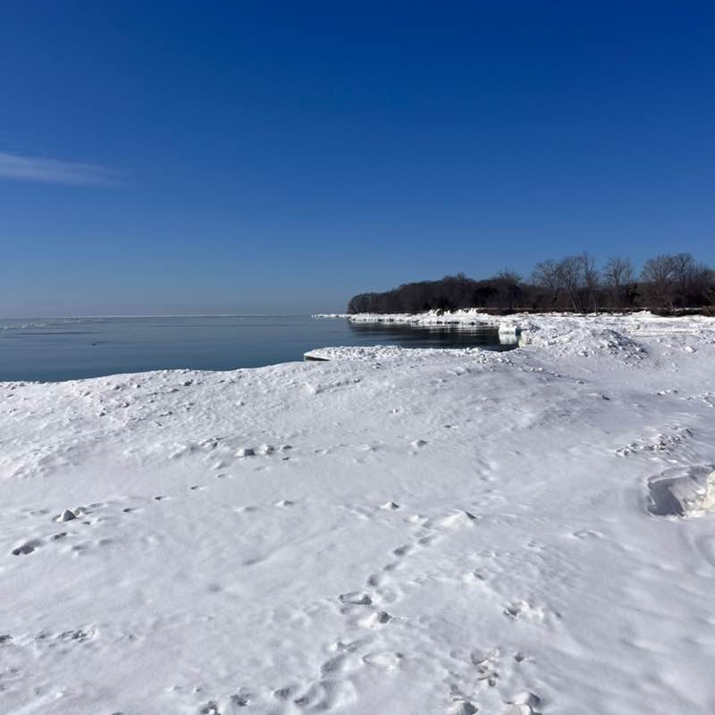 🇨🇦Rickwood post 3