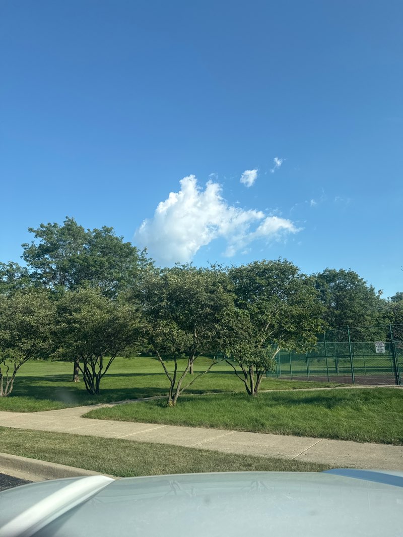 walking near me in Channing Park in summer