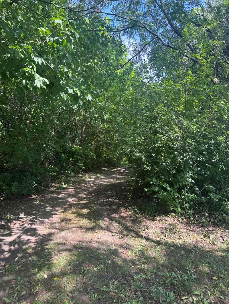 walking near me in Sleepy Hollow Ravine Forest Preserve in summer
