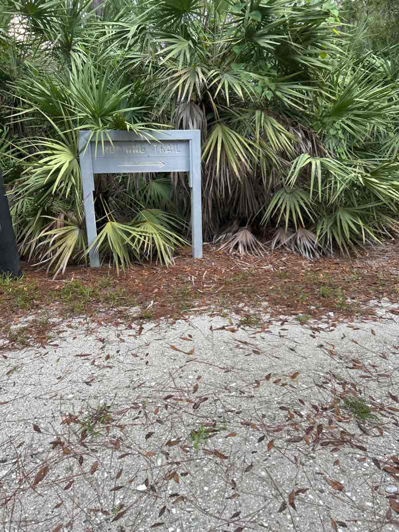 walking near me in Charles Park in winter