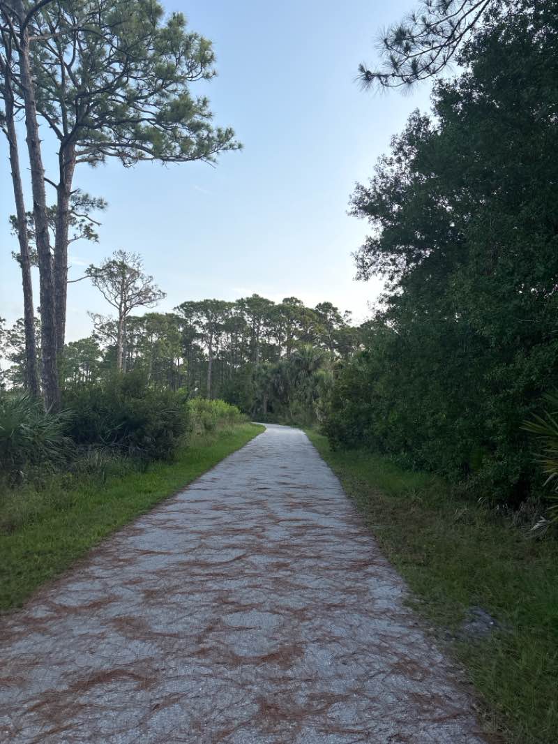 walking near me in Sand Hill Trail Head in spring