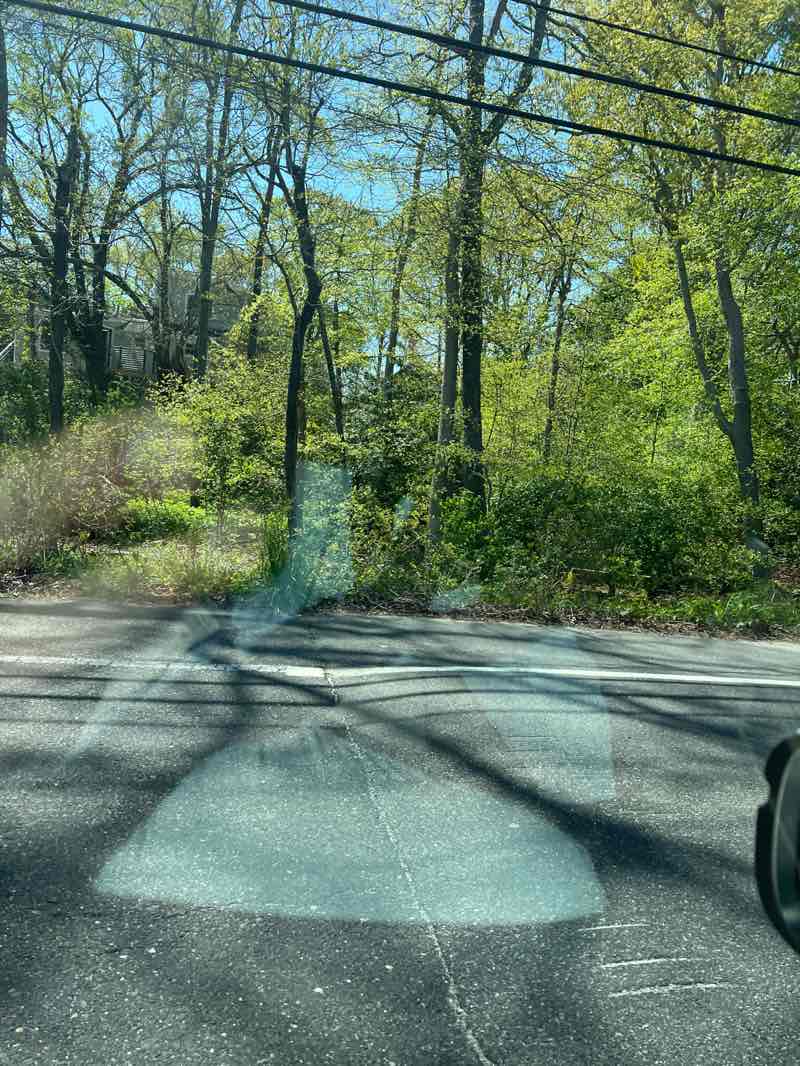 walking near me in Cape May Bird Observatory - Northwood Center in spring