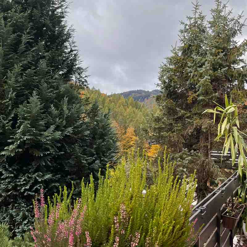 GÓRY to jest to💪 GÓRY to jest to💪 post image