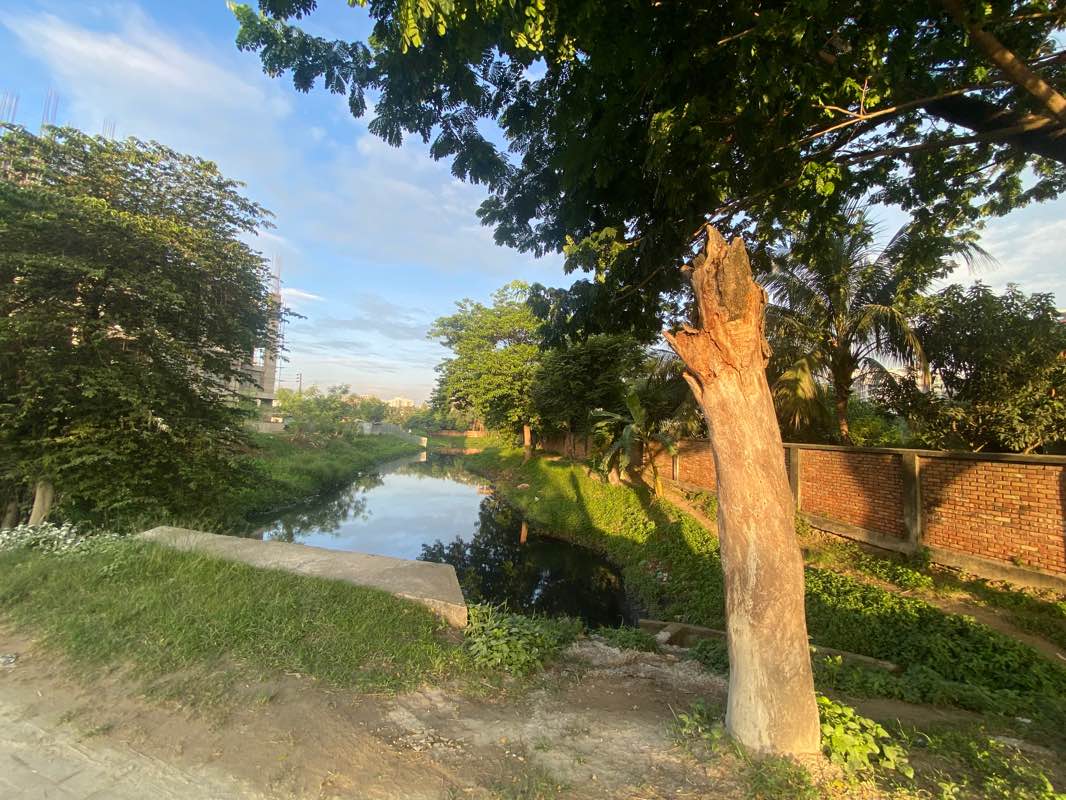 walking near me in Baridhara DOHS Park in spring