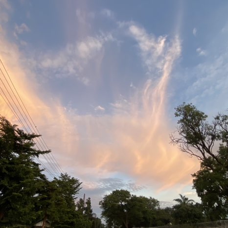 PacerGal_1979 post 1