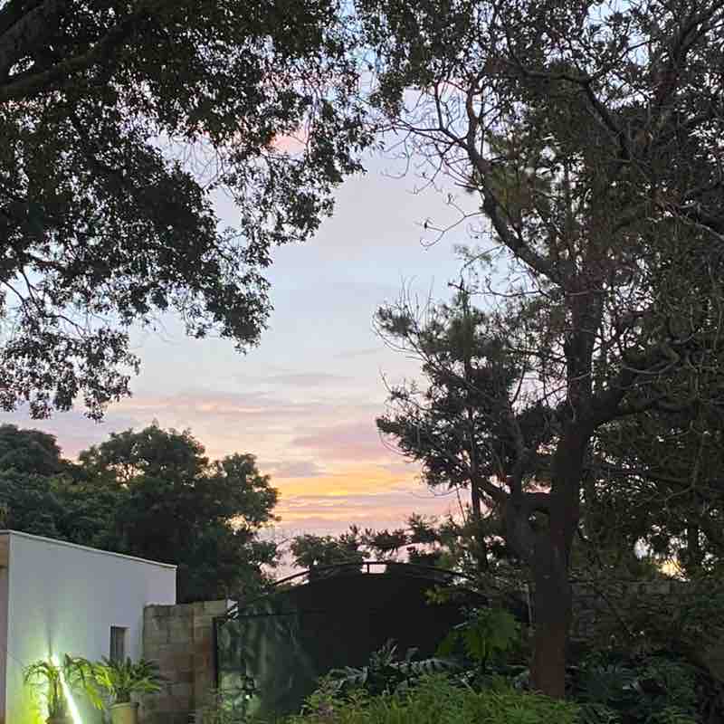 PacerGal_1979 post 3