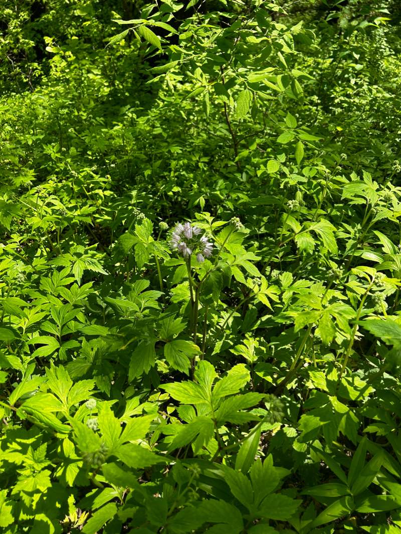 walking near me in Newton Hills State Park in winter