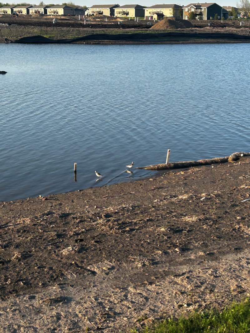walking near me in Dakota Nature Park in winter