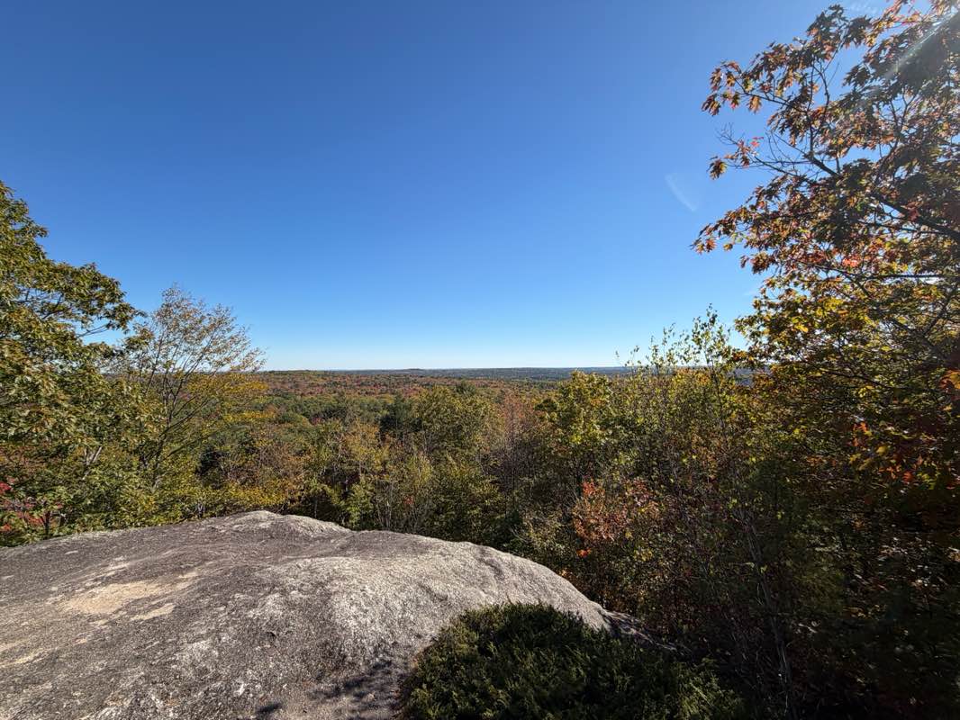 walking near me in The Corridor in autumn
