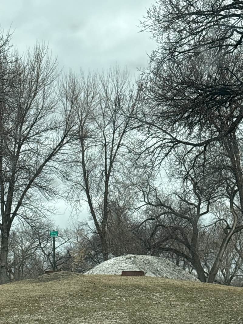 walking near me in Viking Ship Park in spring