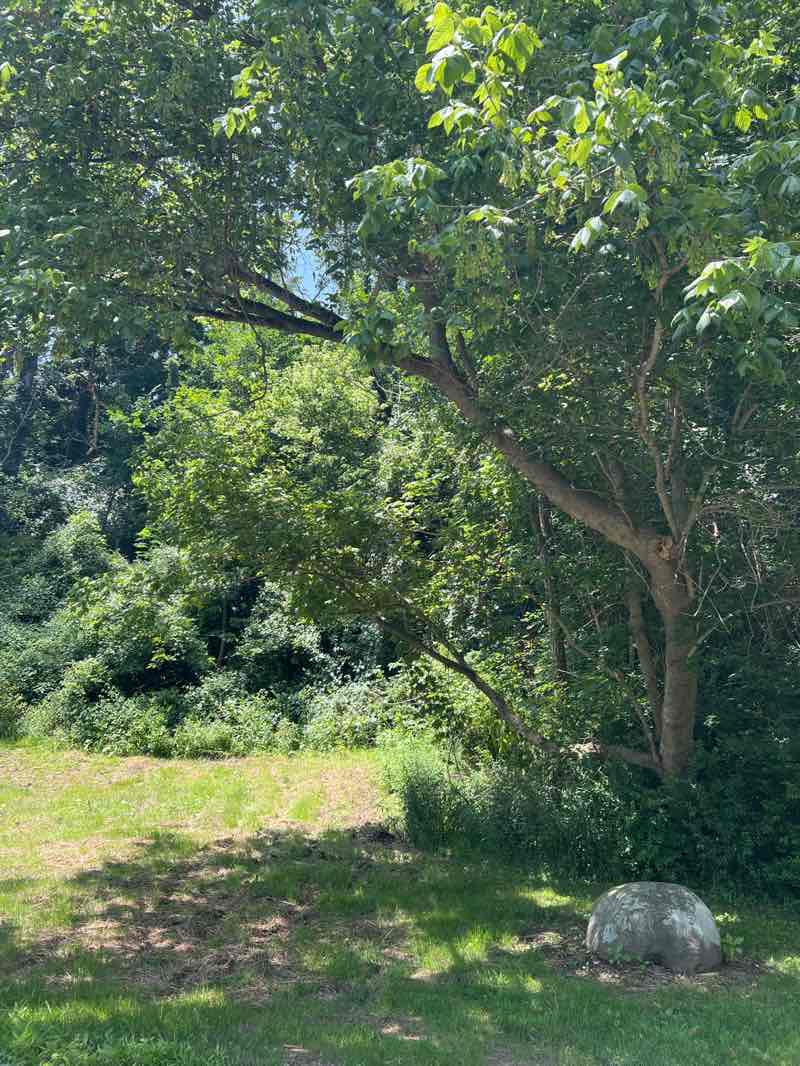 walking near me in Holmesbrook Park in summer