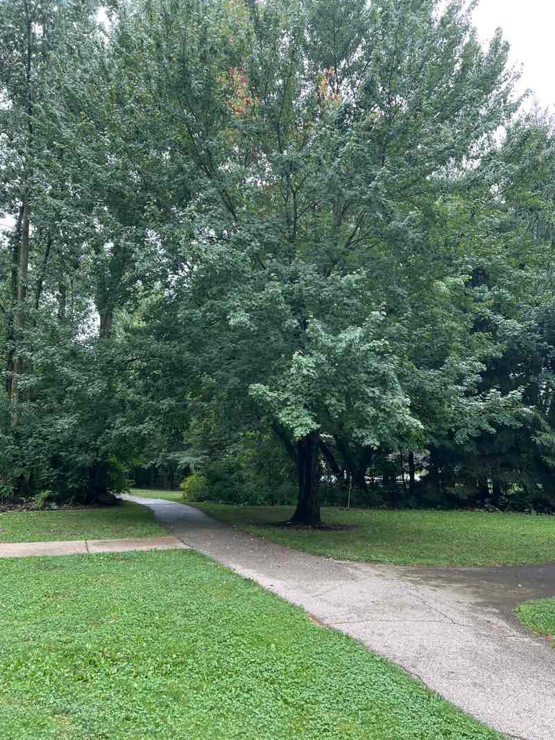 walking near me in Hubbard Valley Park in summer