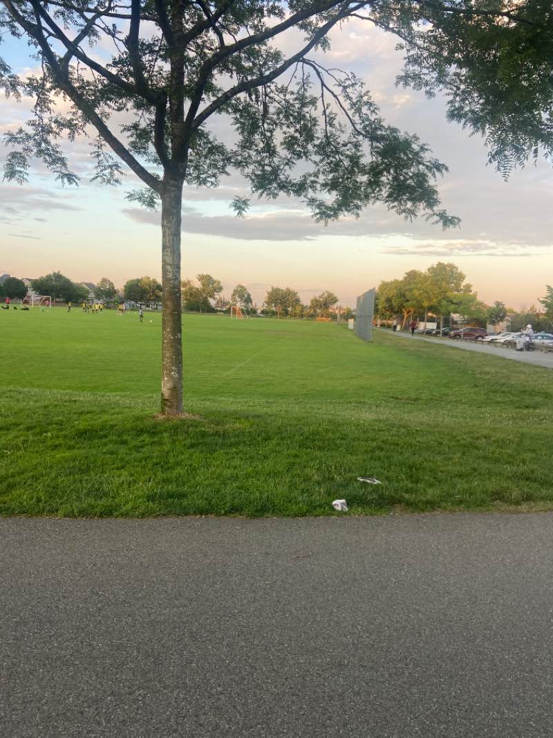 walking near me in Goldstone Park in winter