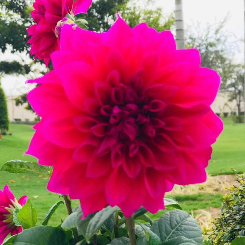 𝑀𝑜𝒽𝒾𝓃𝒹𝑒𝓇 𝒮𝒾𝓃𝑔𝒽 🇮🇳 post 1