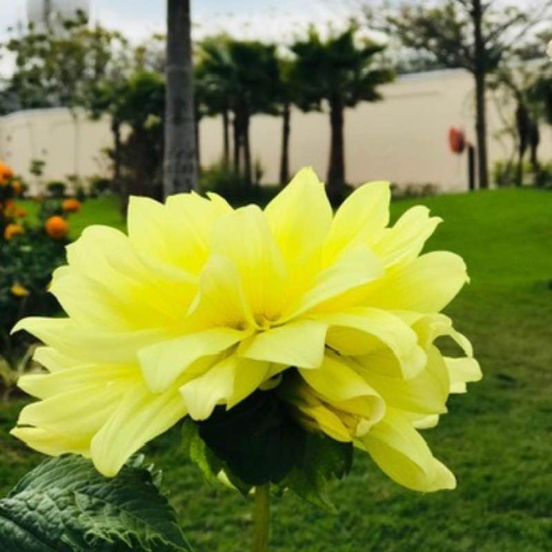 𝑀𝑜𝒽𝒾𝓃𝒹𝑒𝓇 𝒮𝒾𝓃𝑔𝒽 🇮🇳 post 2