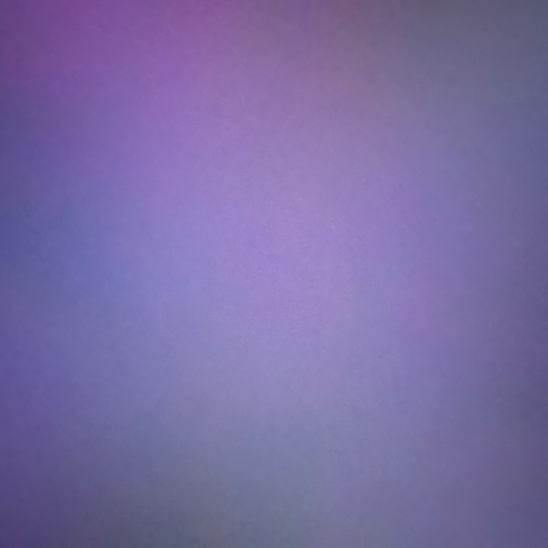 P5 Agnes chang Min Yee