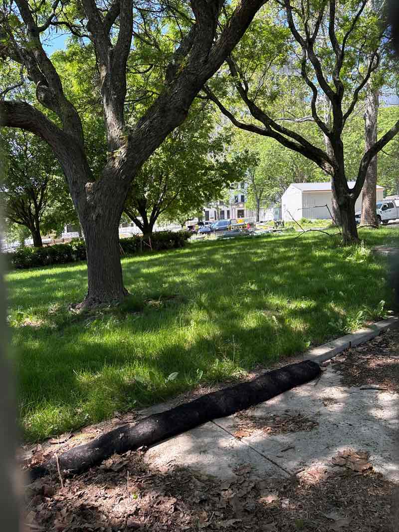 walking near me in East Capital Park in summer