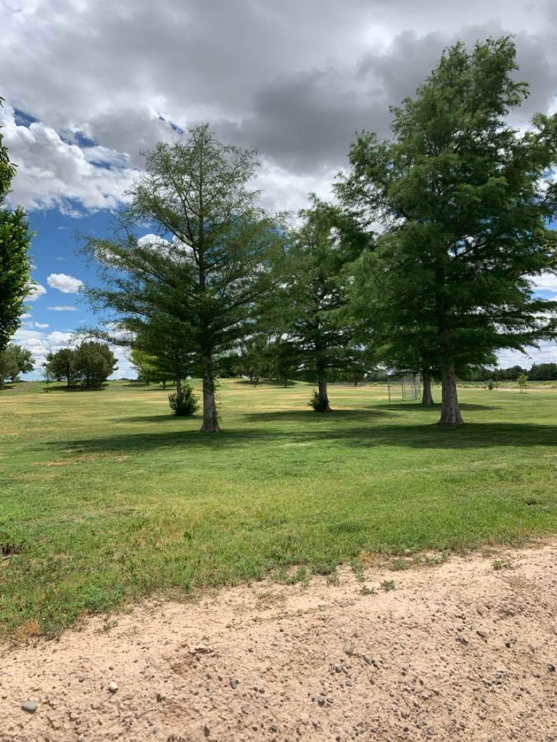 walking near me in Cielo Grande Park in summer