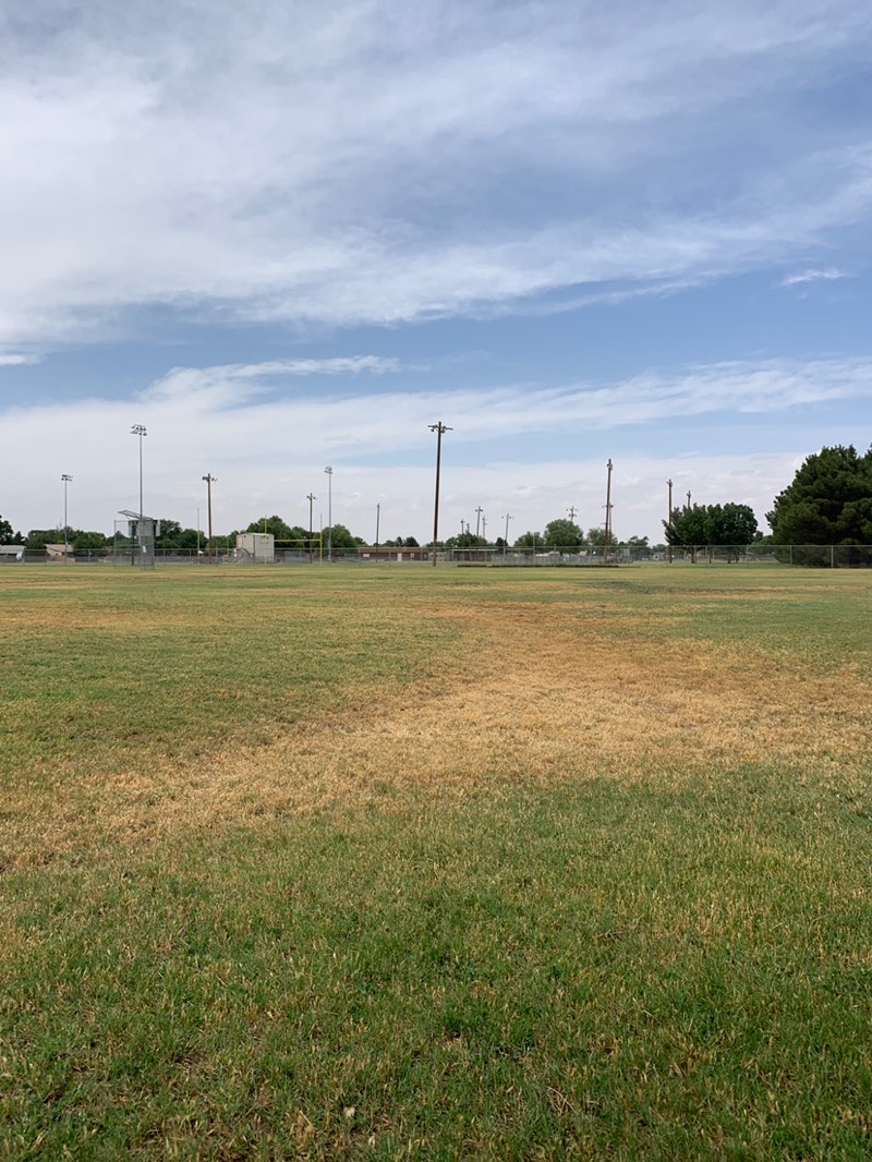 walking near me in Stiles Park in summer