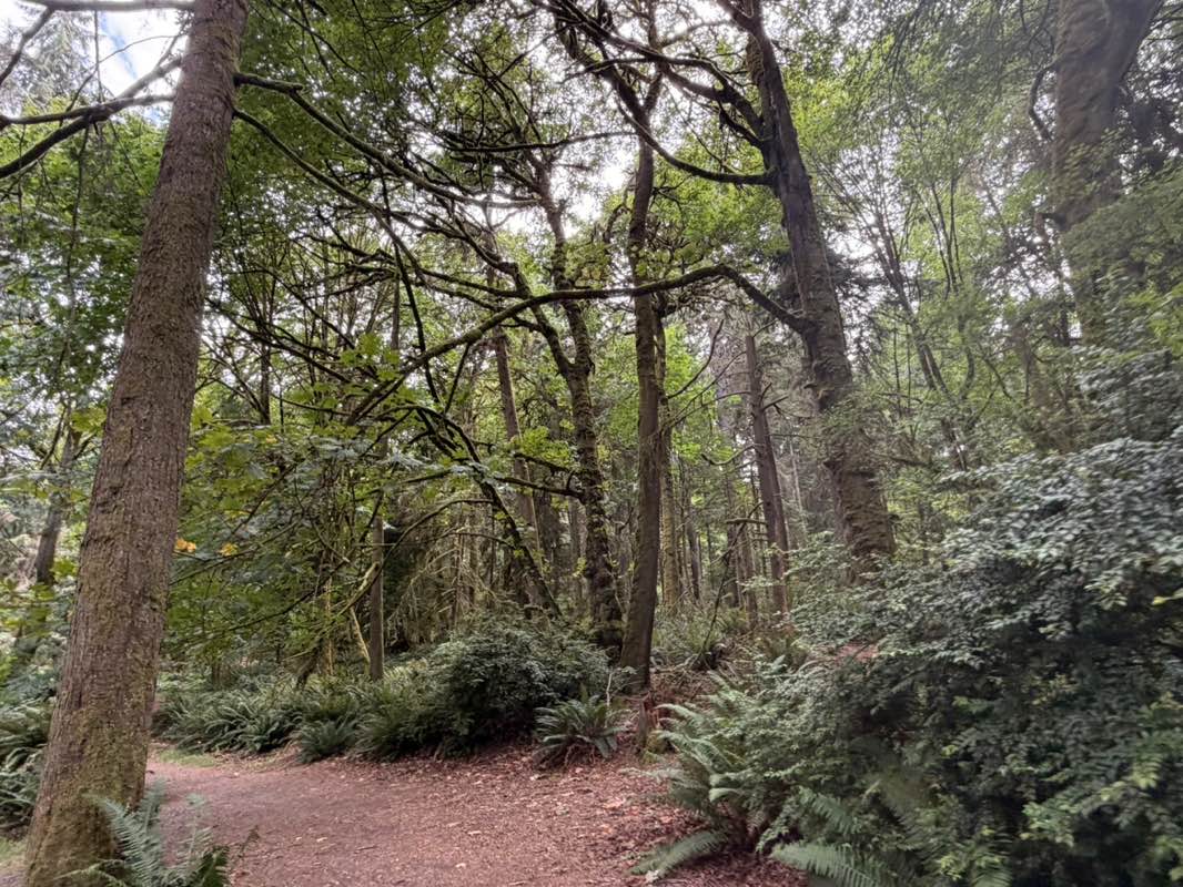 walking near me in Point Defiance Park in summer