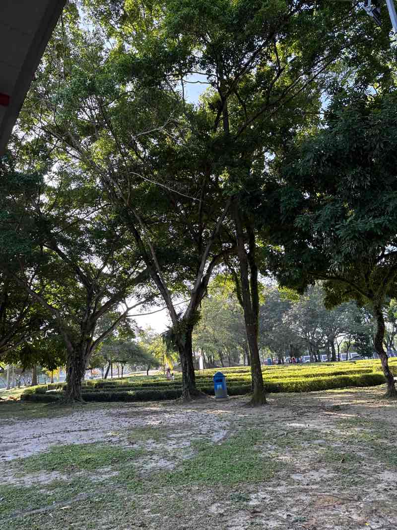 walking near me in Kelana Jaya Youth Park in winter