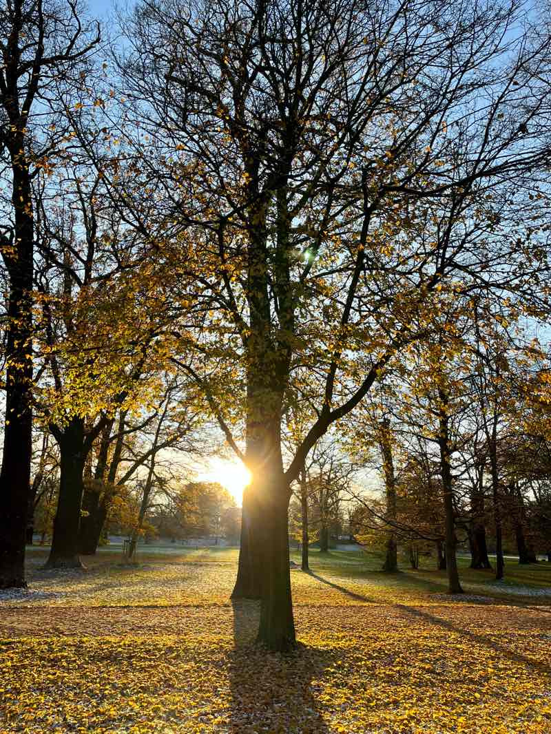 walking near me in Lingnerallee in winter