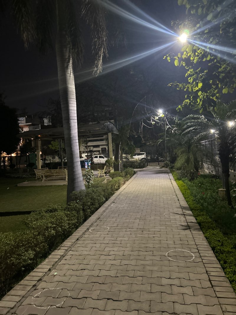 walking near me in Park in winter