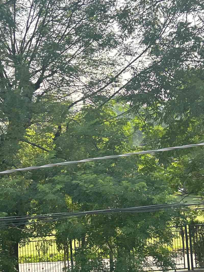 walking near me in Park in summer